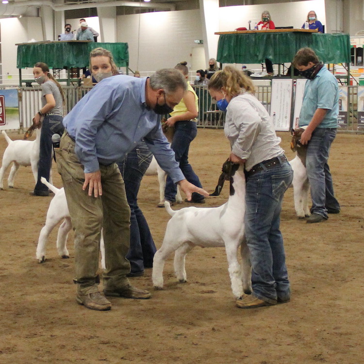 Grady County pair sweeps Georgia Jr. Market Goat and Lamb shows